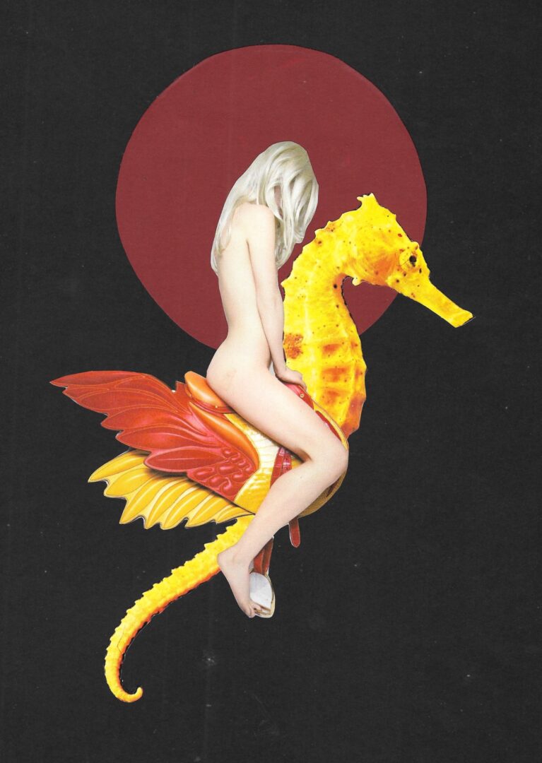 caballito de mar 3.jpg