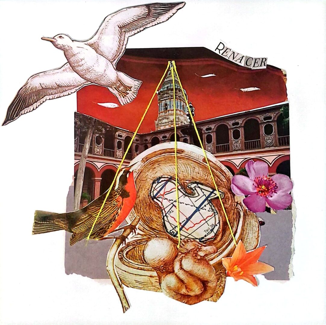 renacer.jpeg