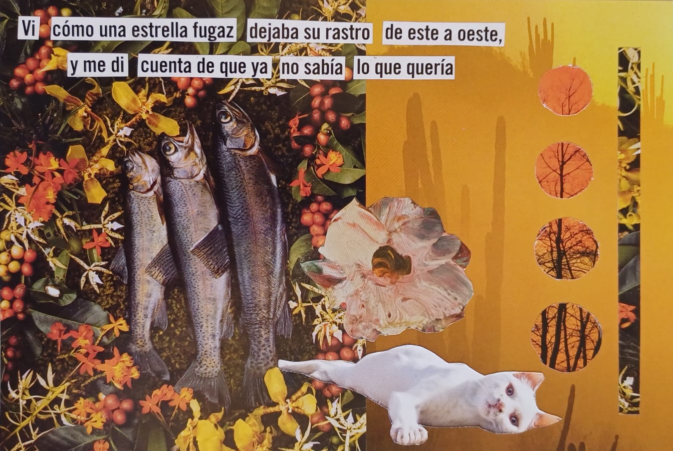 whatsapp image 2025 12 17 at 10.10.06 am.jpeg