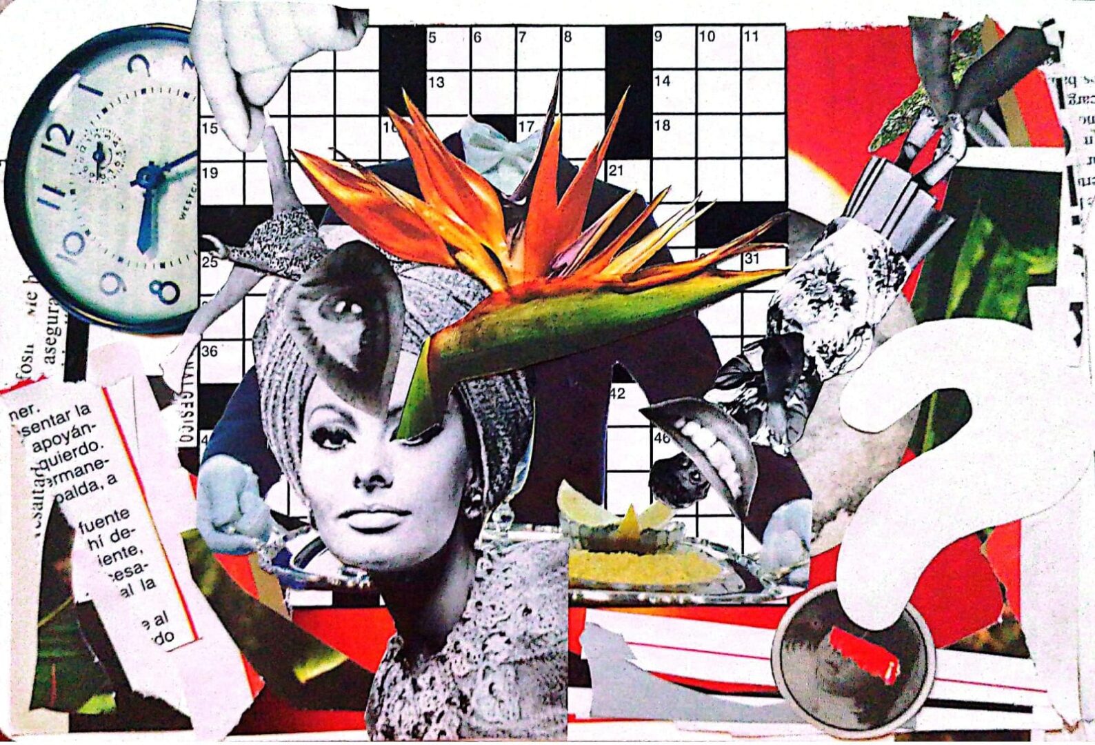 whatsapp image 2025 12 19 at 11.14.16 pm 2.jpeg