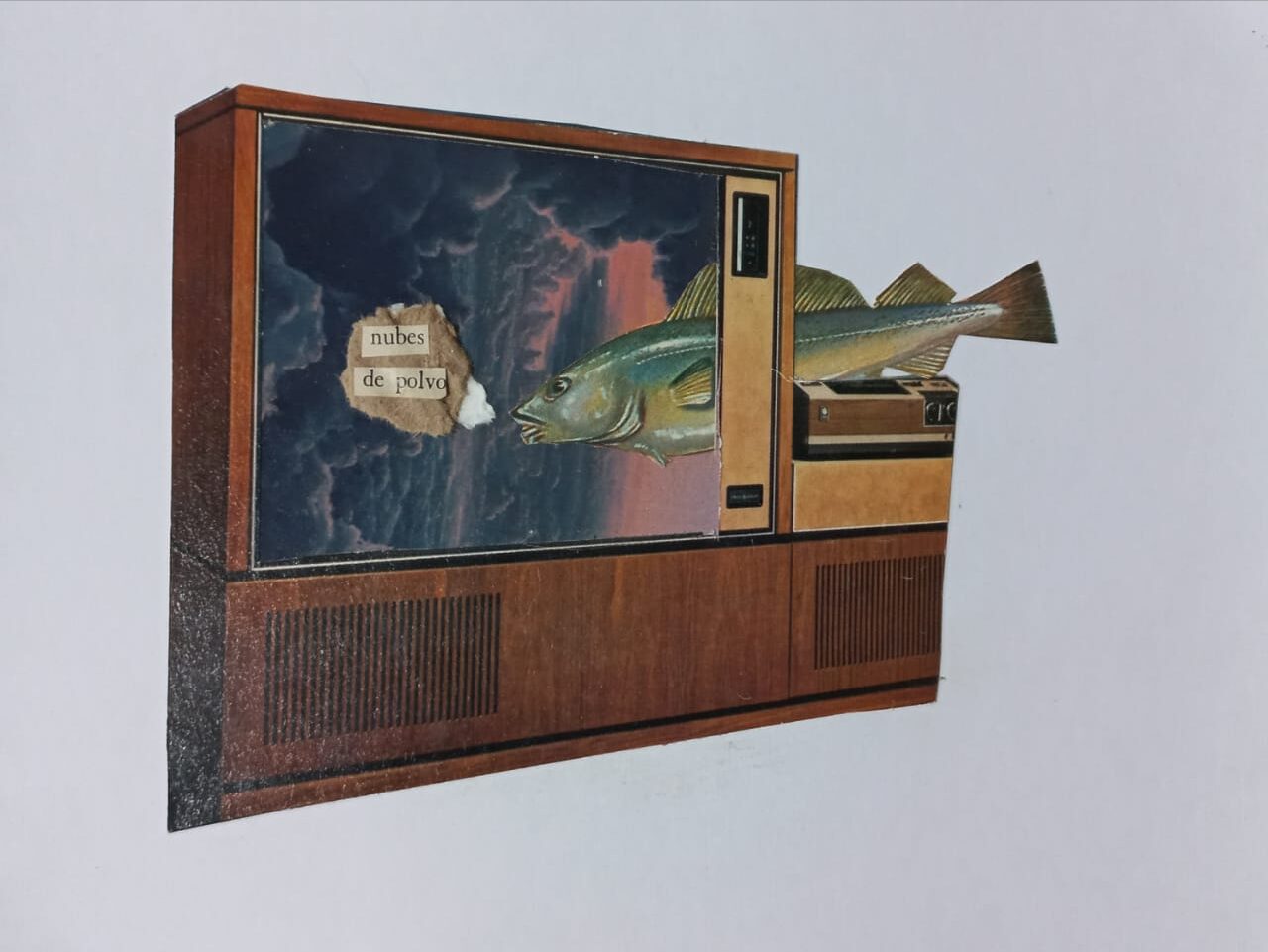 img 20230605 wa0004 copia.jpg