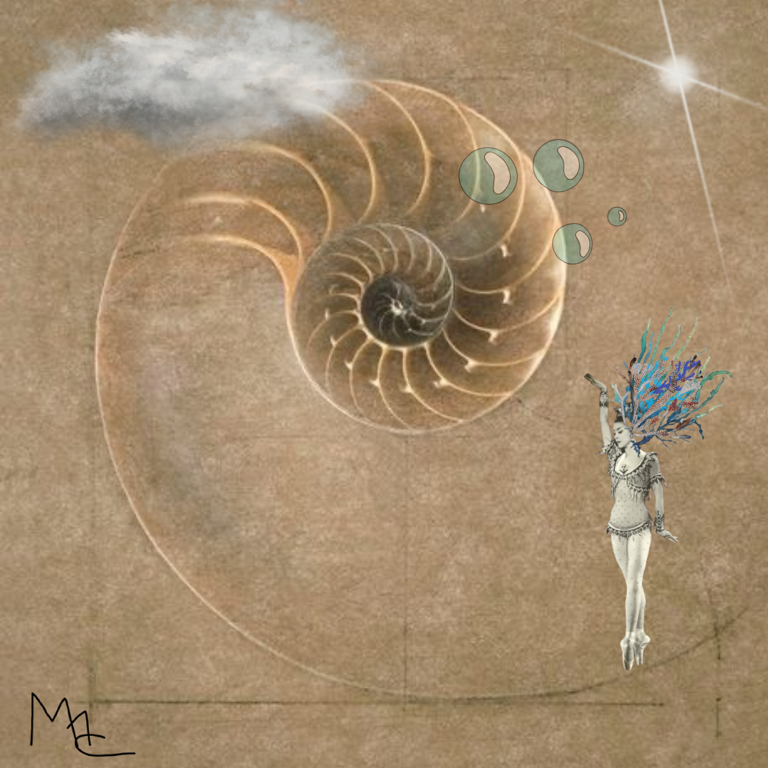 nautilus 1— 1.png
