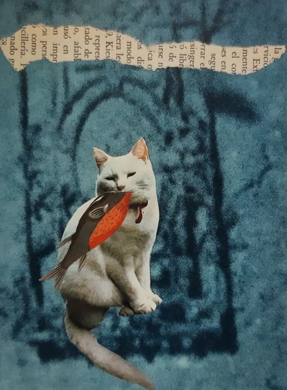 screenshot 20230605 110929 instagram.jpg