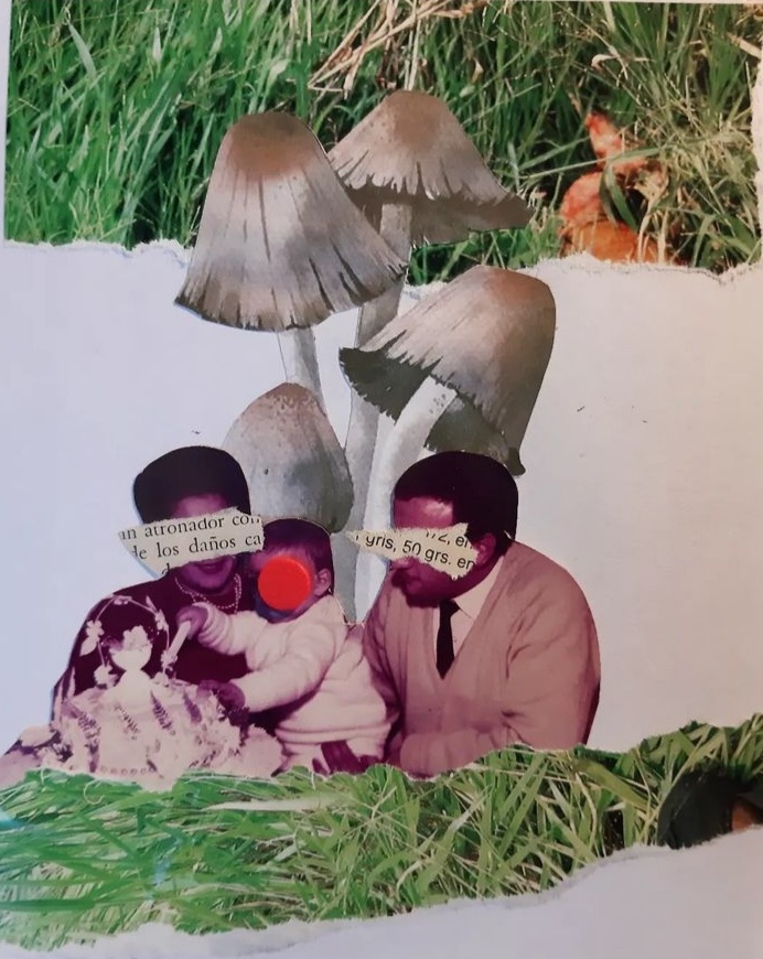 screenshot 20230605 111100 instagram.jpg