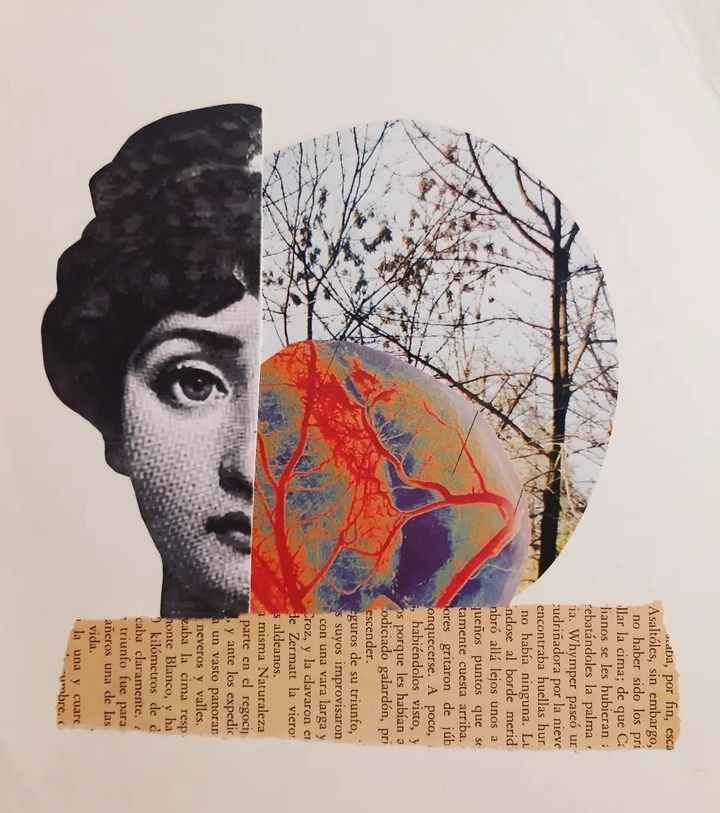 screenshot 20230605 111129 instagram.jpg